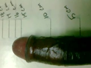 South indian penis