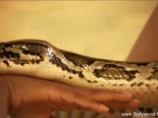 Bollywood ja a ahvatlev snake